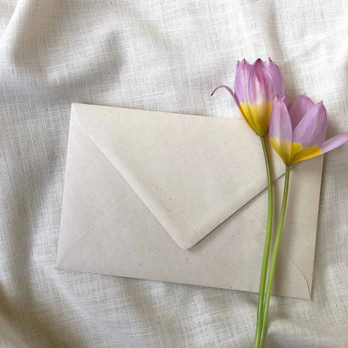 || Getekenddoorzusje || Kaart A5 - Zwaan