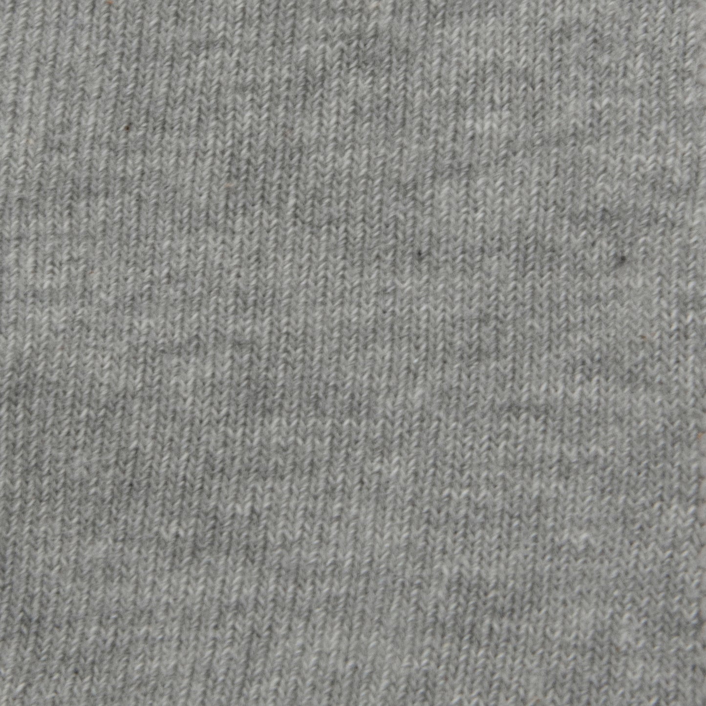 || Ewers || Maillot uni - Grijs