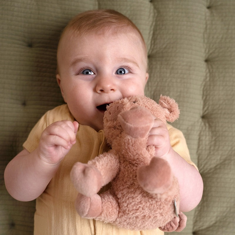 || Little Dutch || Knuffel Varken - 17cm