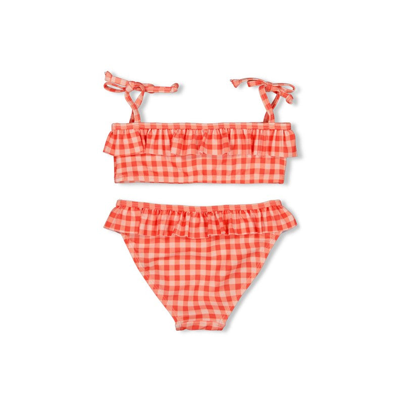 || Jubel || Geruite bikini - Berry Nice