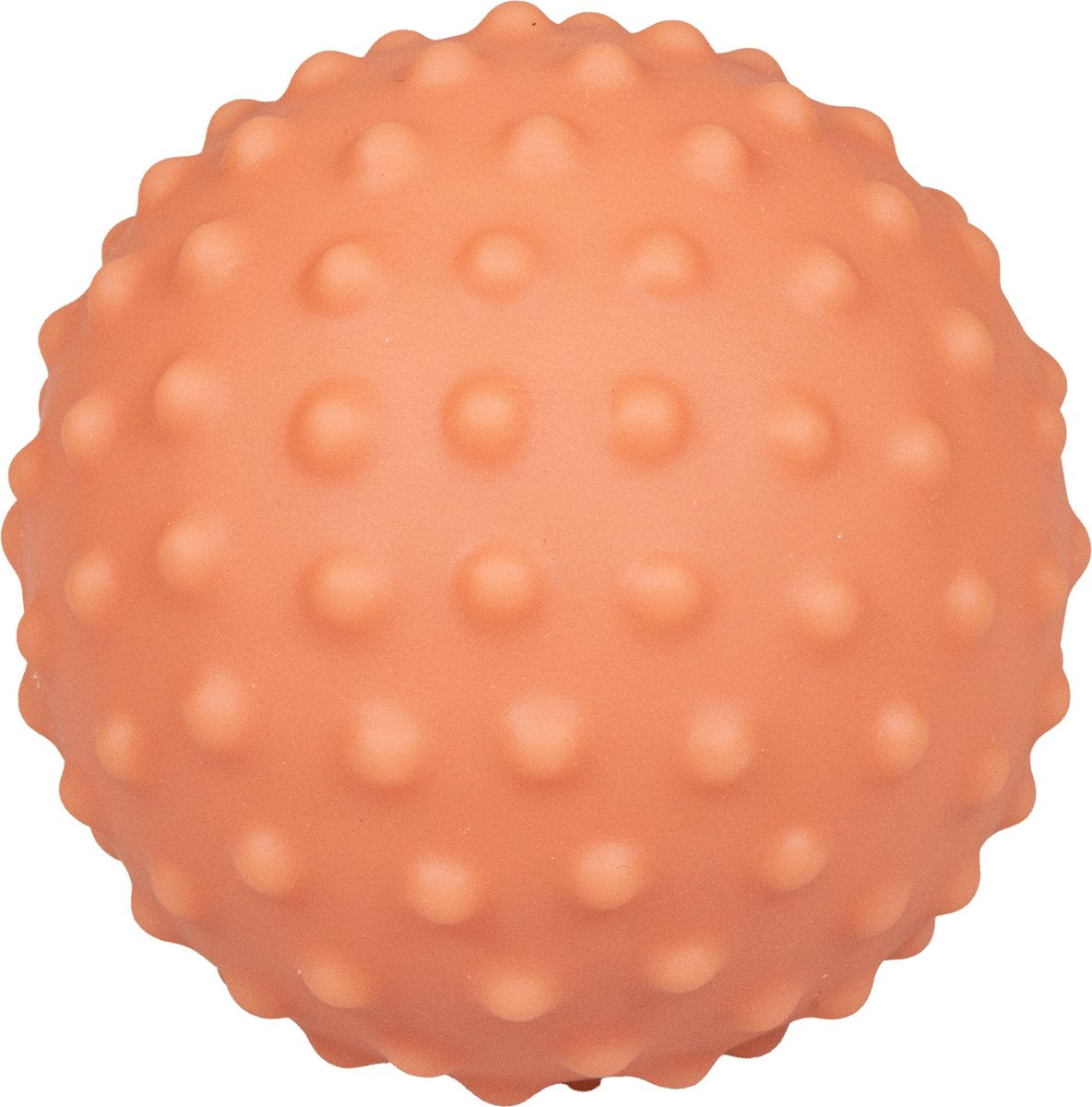 || Little Dutch || Zintuig Ballen