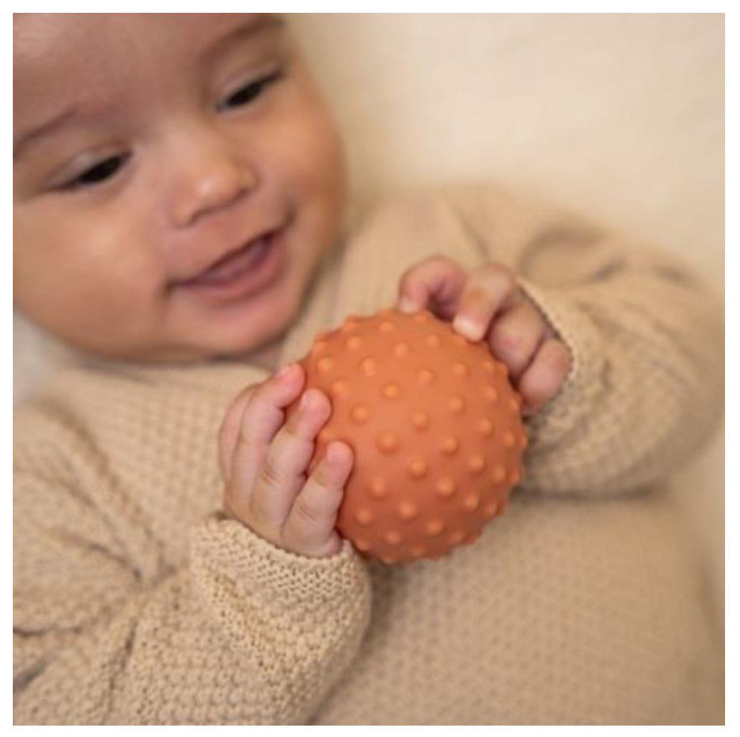 || Little Dutch || Zintuig Ballen