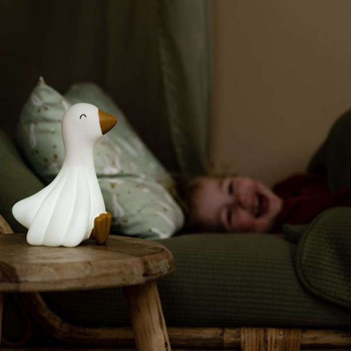 || Little Dutch || Nachtlampje - Gans