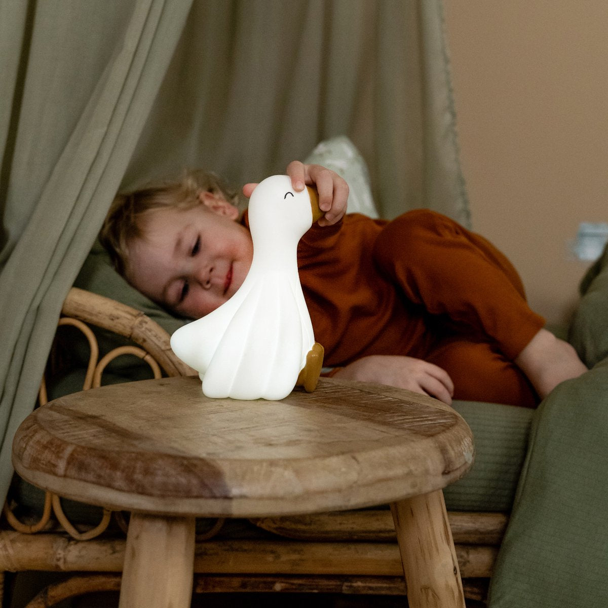 || Little Dutch || Nachtlampje - Gans