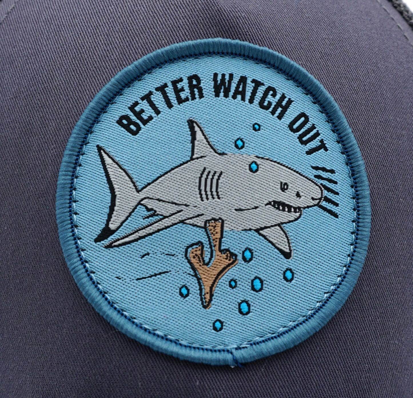 || Maximo || Pet- Haai