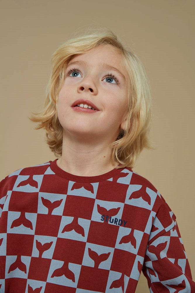 || Sturdy || Sweater met walvis print - Waves and Whales