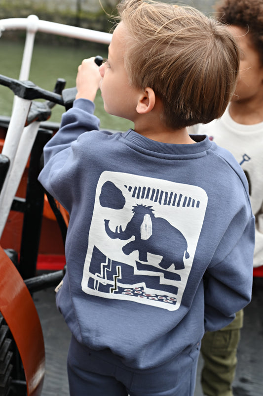 || Sturdy || Oversized sweater met backprint - Rock the Earth