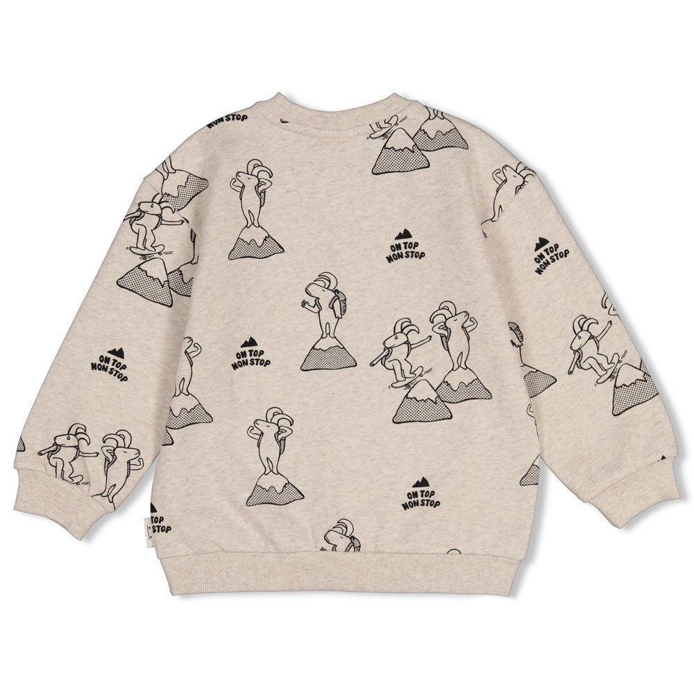 || Sturdy || Sweater met print - Mountain Top