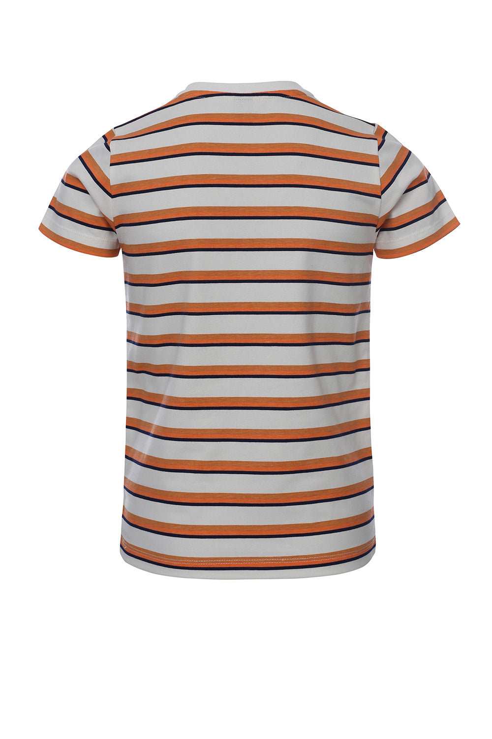 || Common Heroes || Gestreept t-shirt