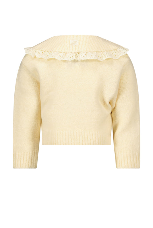 || Le Chic || Gebreid fancy vest - Mini
