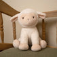 || Little Dutch || Knuffel Schaap - 25cm