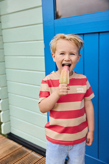 || Daily7 || Gestreept t-shirt met backprint