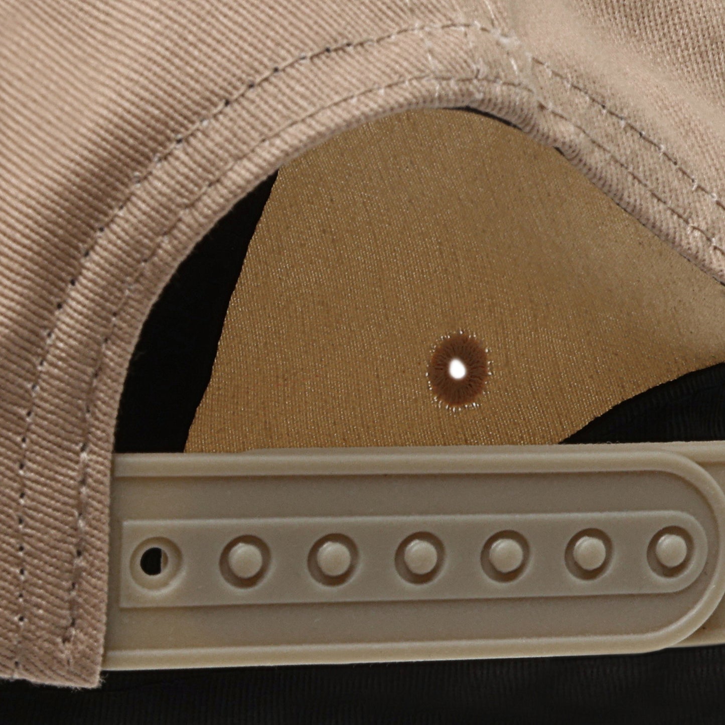 || Daily7 || Pet - Colourblock