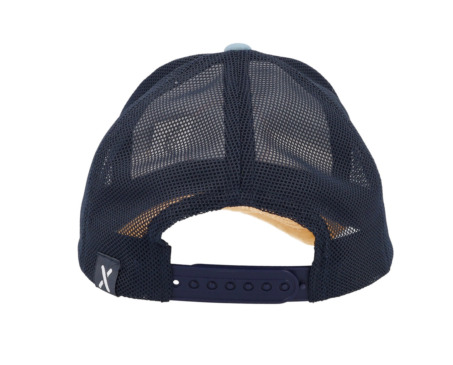 || Maximo || Pet- Surfen