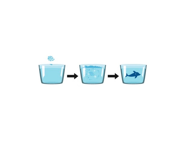 || Moses || Bruisbom zeedieren