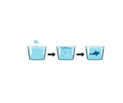 || Moses || Bruisbom zeedieren