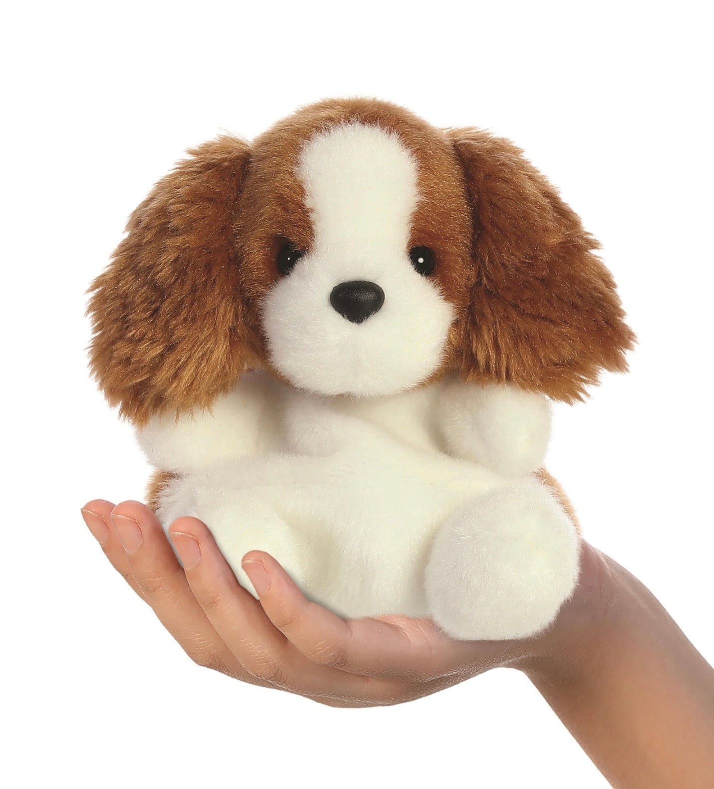 || Palm Pals || Hond