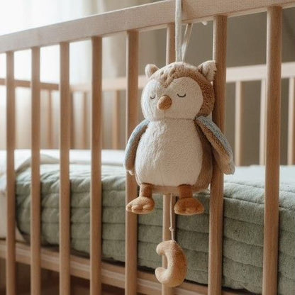 || Little Dutch || Muziekknuffel uil