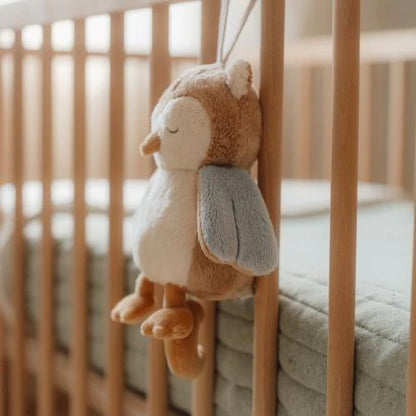 || Little Dutch || Muziekknuffel uil