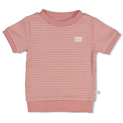 || Feetje || Shortama wafel Summer Special - Mauve