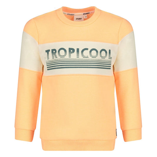 || Sturdy || Sweater ‘Tropicool’ - Lagoon Legends