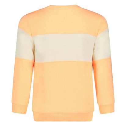 || Sturdy || Sweater ‘Tropicool’ - Lagoon Legends