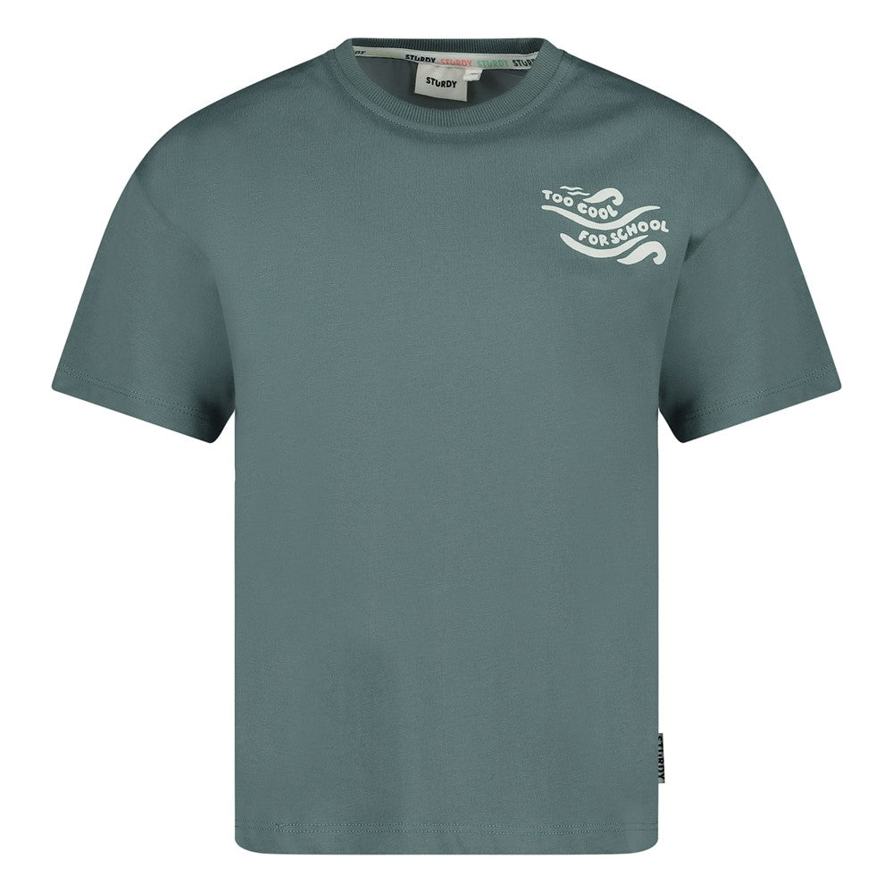 || Sturdy || Oversized t-shirt met backprint - Lagoon Legends