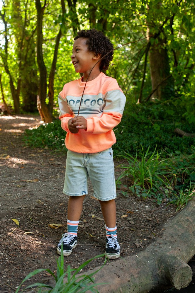 || Sturdy || Sweater ‘Tropicool’ - Lagoon Legends
