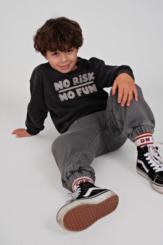 || Sturdy || Loose fit joggingbroek - Mountain Top