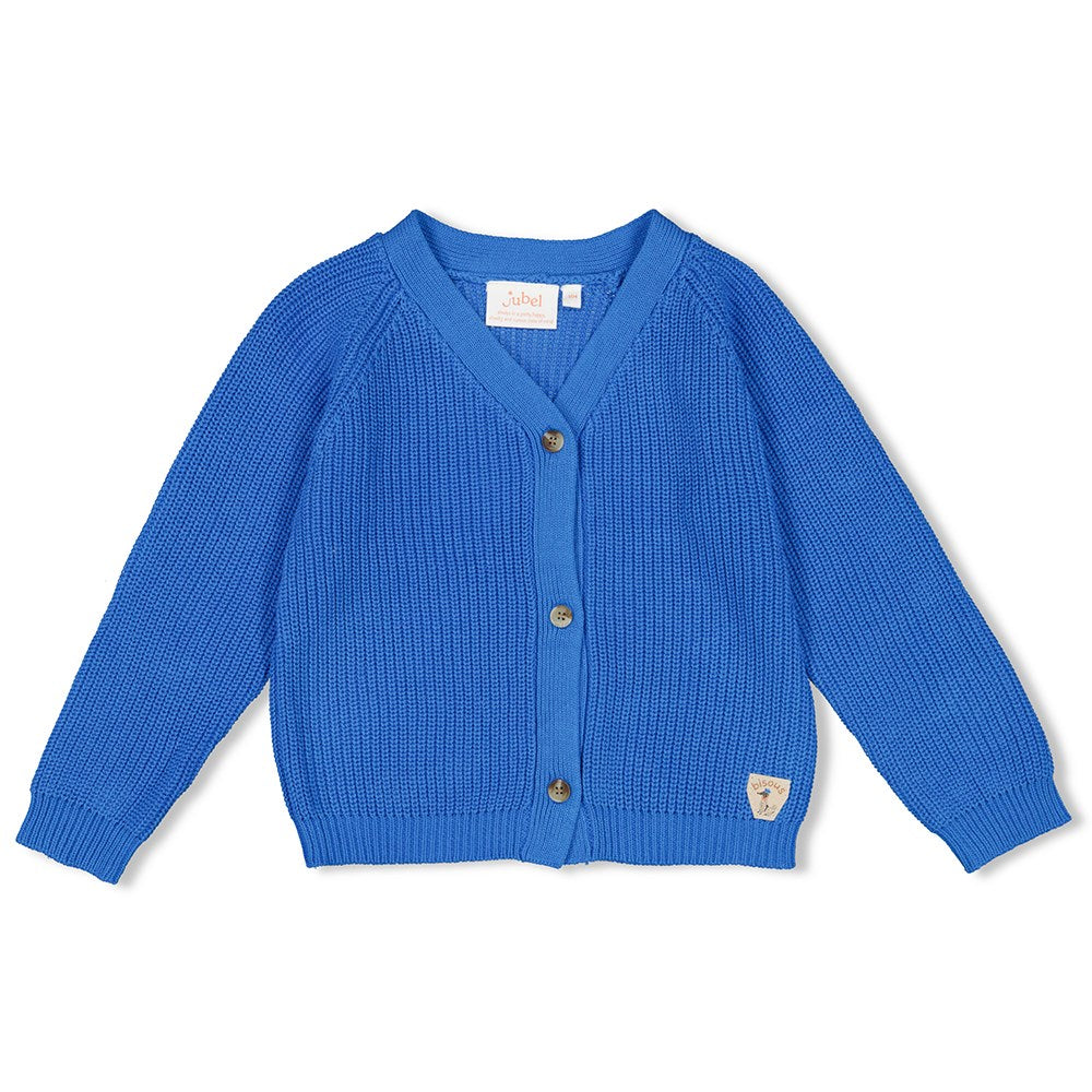 || Jubel || Gebreid vest