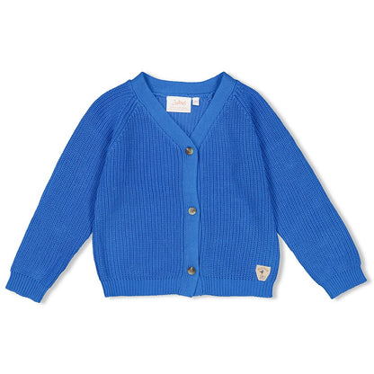 || Jubel || Gebreid vest