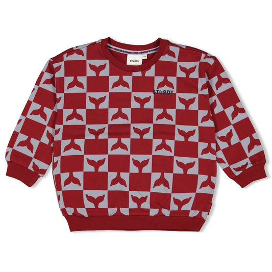 || Sturdy || Sweater met walvis print - Waves and Whales