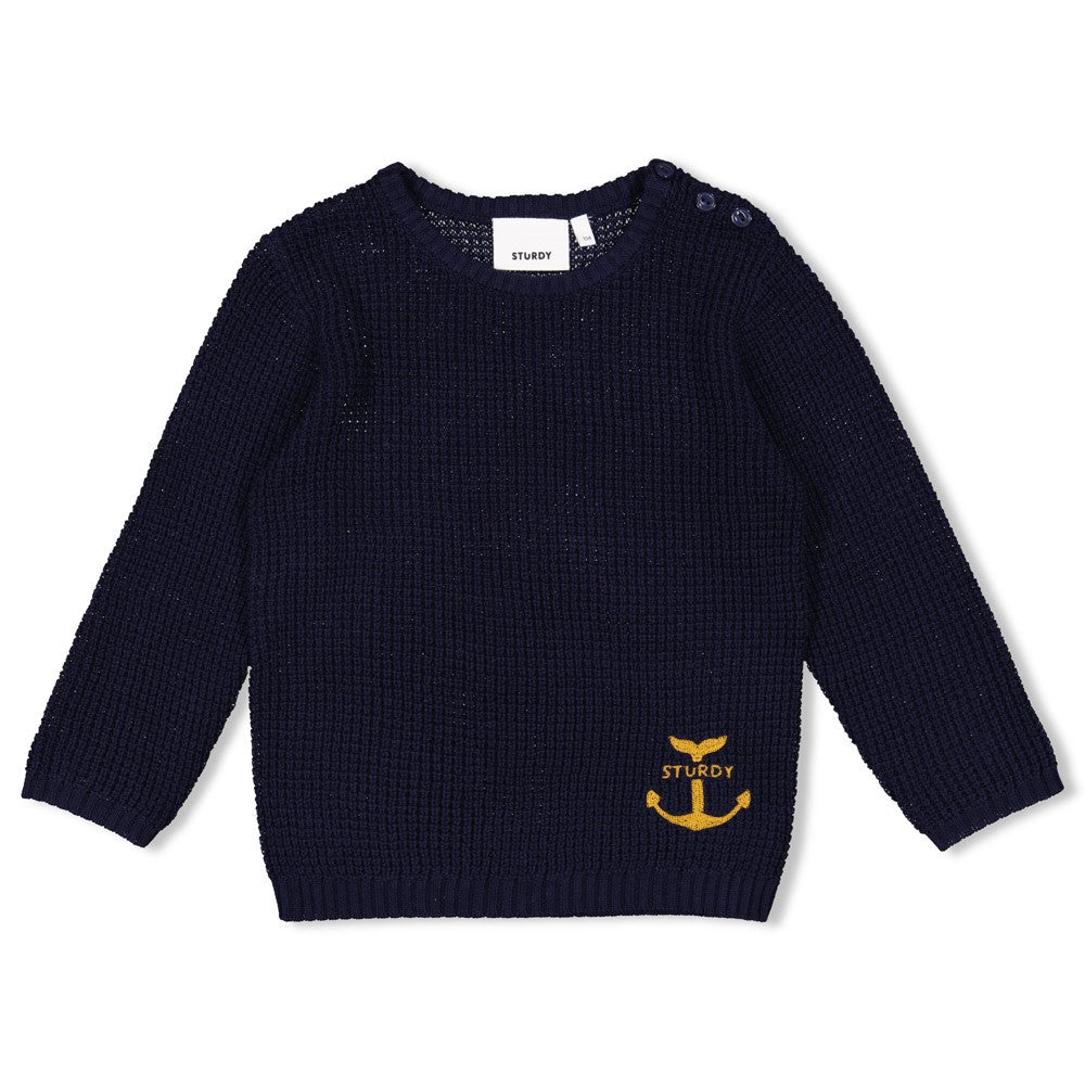 || Sturdy || Grof gebreide trui  - Waves and Whales