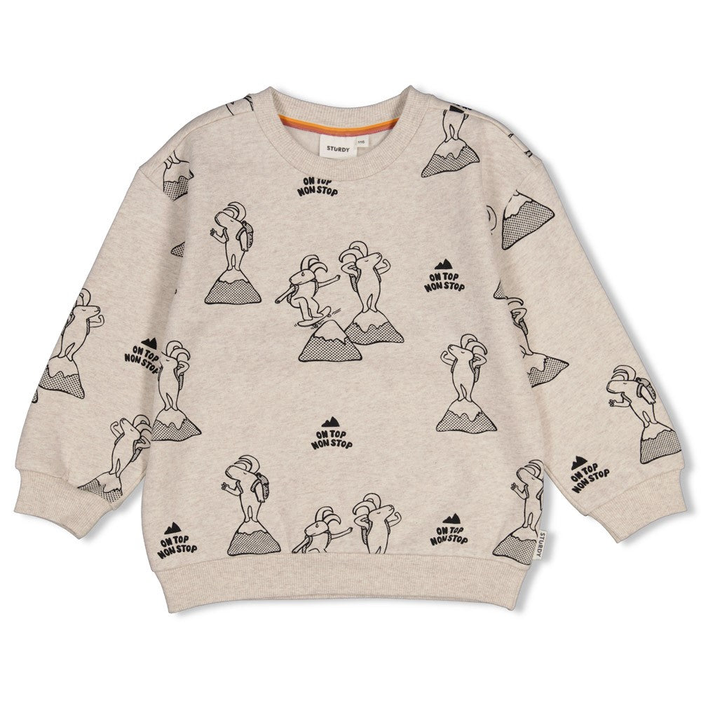 || Sturdy || Sweater met print - Mountain Top