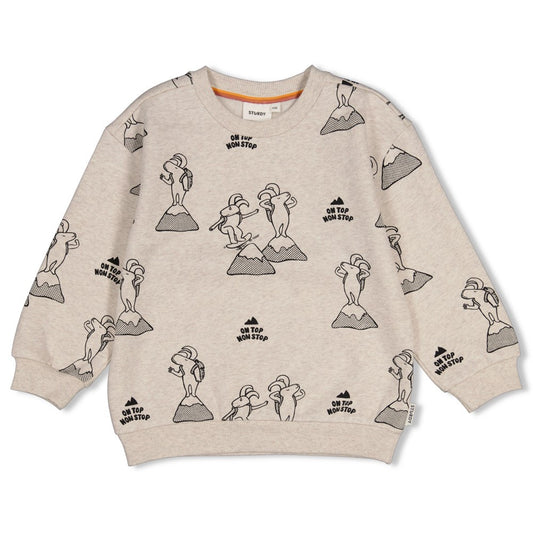 || Sturdy || Sweater met print - Mountain Top