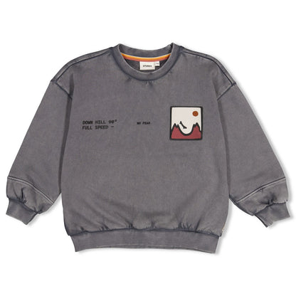 || Sturdy || Oversized sweater met backprint - Mountain Top