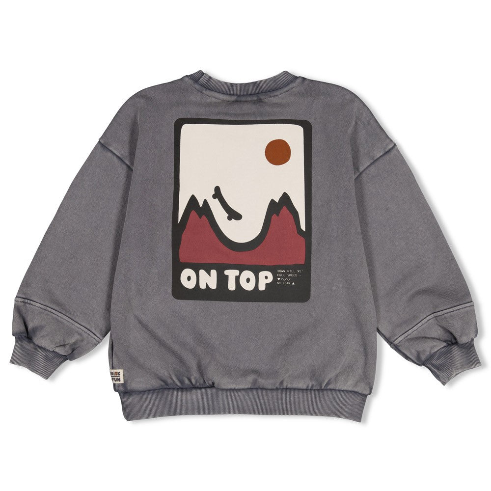 || Sturdy || Oversized sweater met backprint - Mountain Top