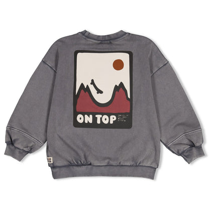 || Sturdy || Oversized sweater met backprint - Mountain Top
