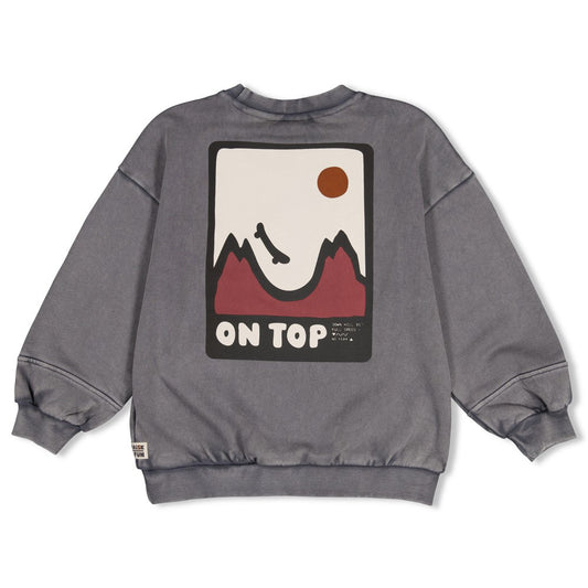 || Sturdy || Oversized sweater met backprint - Mountain Top