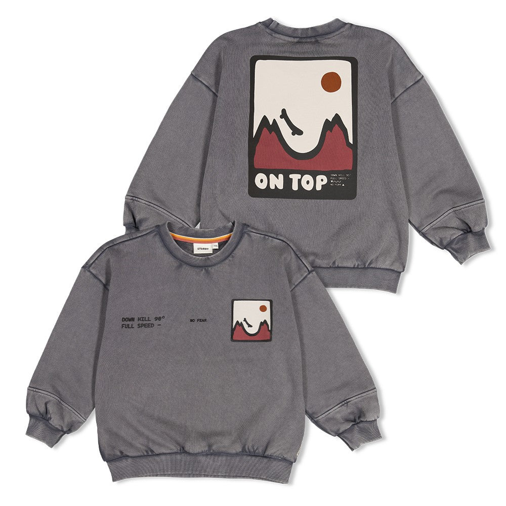 || Sturdy || Oversized sweater met backprint - Mountain Top