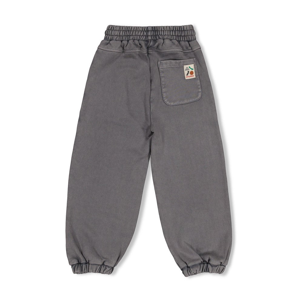 || Sturdy || Loose fit joggingbroek - Mountain Top