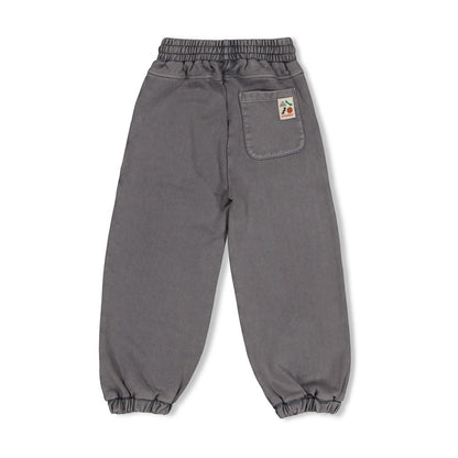 || Sturdy || Loose fit joggingbroek - Mountain Top