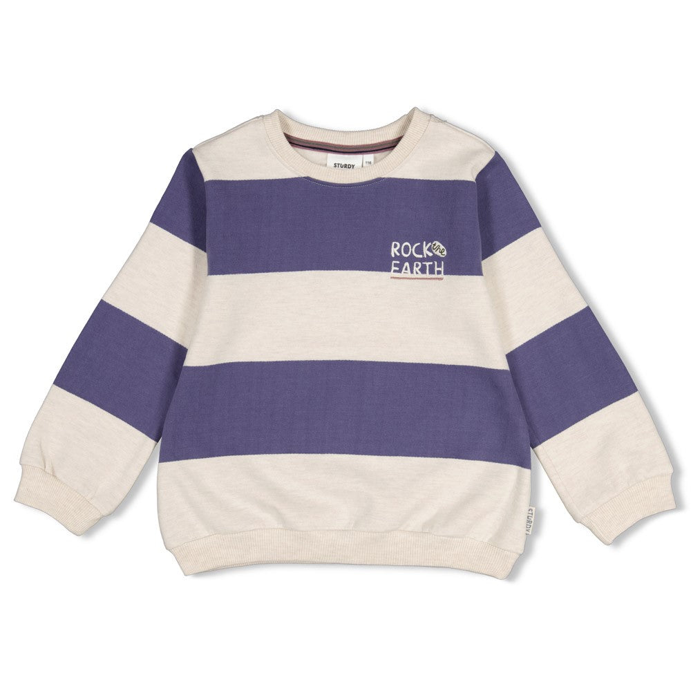 || Sturdy || Gestreepte sweater - Rock the Earth