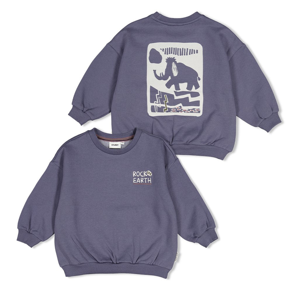 || Sturdy || Oversized sweater met backprint - Rock the Earth