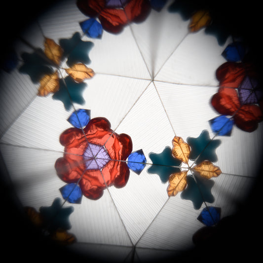 || Rex London || Kaleidoscoop - Colourful Creatures